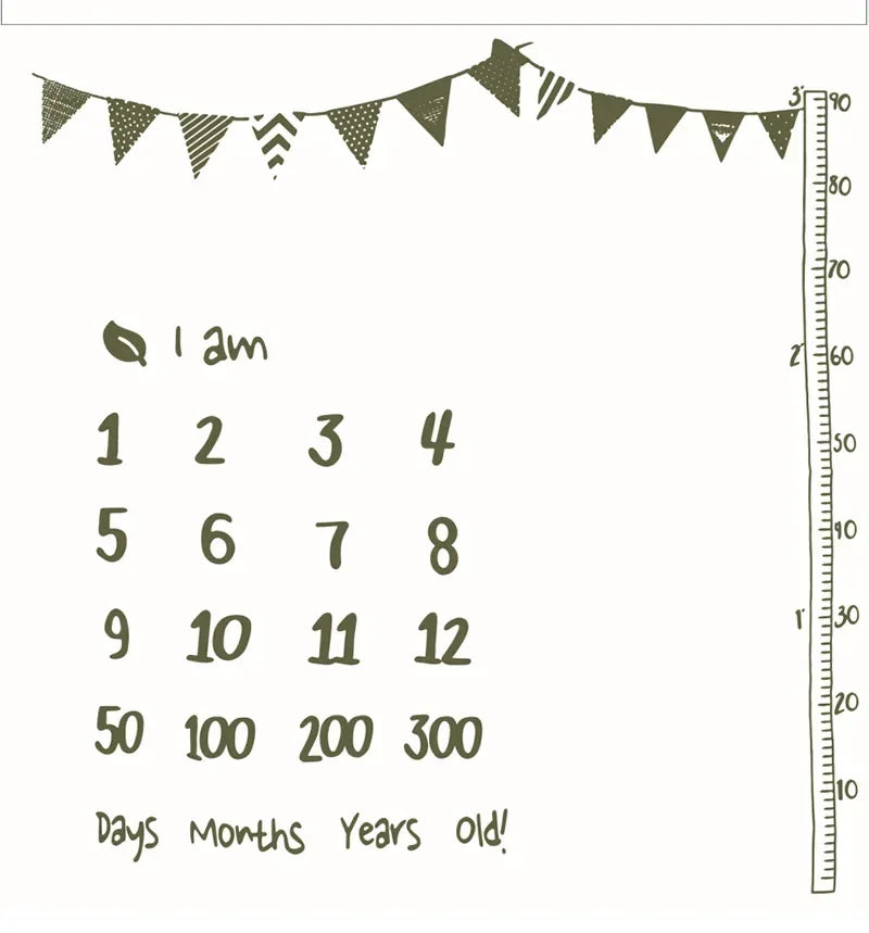 Background Blankets Play Mat Baby Milestone Photo Props Calendar Boy Girl Newborn Photography Props Cloth Photo Accessories
